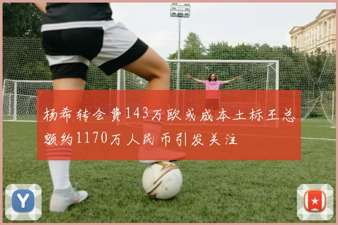 杨希转会费143万欧或成本土标王总额约1170万人民币引发关注