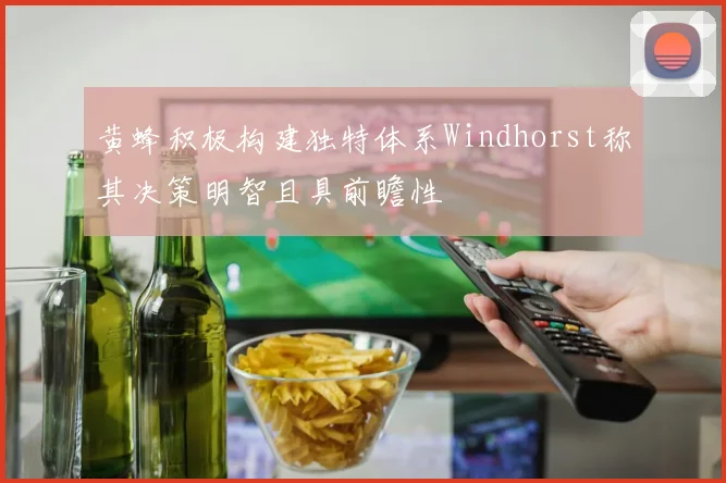 黄蜂积极构建独特体系Windhorst称其决策明智且具前瞻性